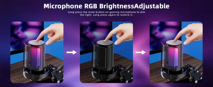 RGB gaming microphone with cardioid pickup - Dude Essentials