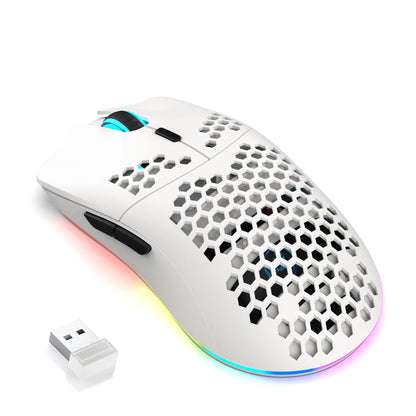 2.4G Wireless Gaming Mouse with RGB Lighting, Rechargeable Battery, Honeycomb Design - Dude Essentials