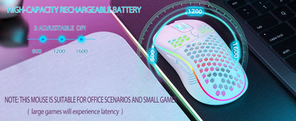 2.4G Wireless Gaming Mouse RGB Lighting Charging Mouse - Dude Essentials