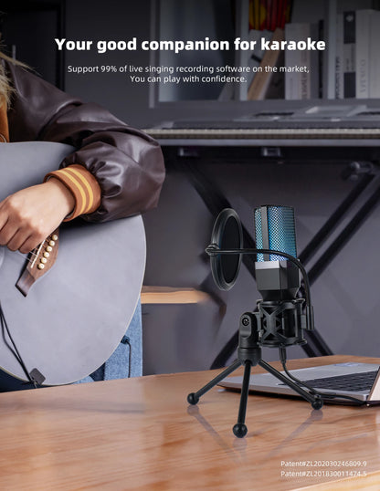 Gaming Microphone Professional Condenser Mic PC Laptop Computer - Dude Essentials