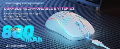 2.4G Wireless Gaming Mouse RGB Lighting Charging Mouse - Dude Essentials