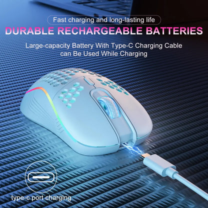 2.4G Wireless Gaming Mouse RGB Lighting Charging Mouse - Dude Essentials