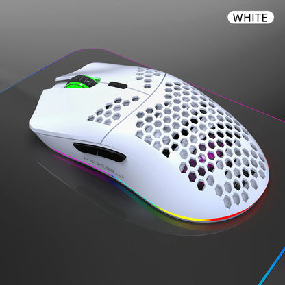 2.4G Wireless Gaming Mouse with RGB Lighting, Rechargeable Battery, Honeycomb Design - Dude Essentials