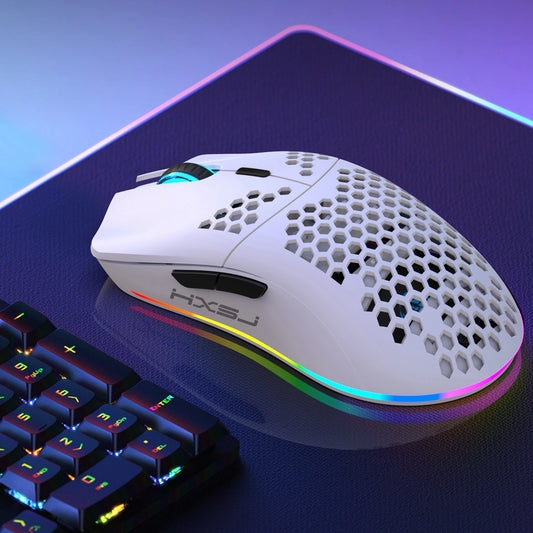 2.4G Wireless Gaming Mouse with RGB Lighting, Rechargeable Battery, Honeycomb Design - Dude Essentials