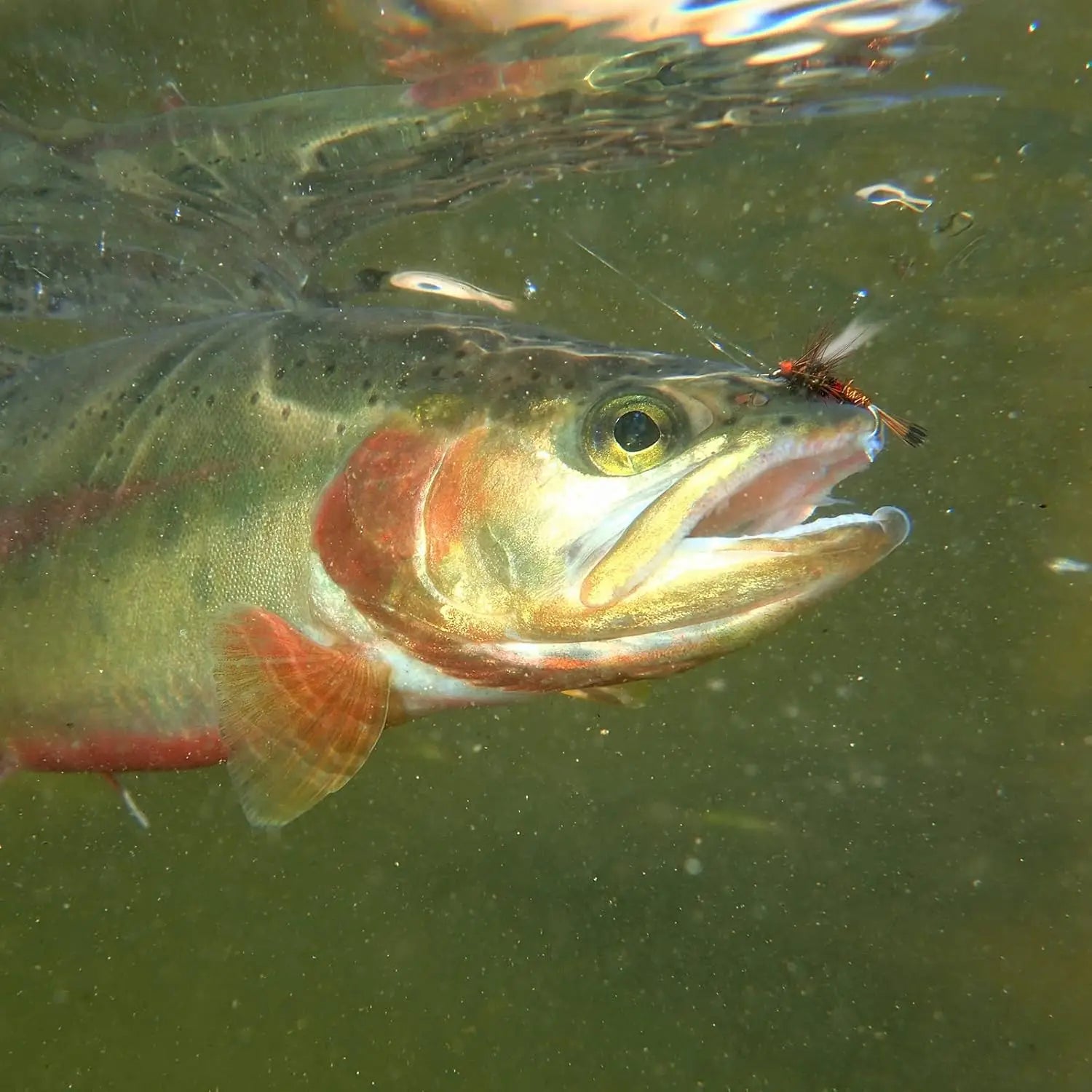 SantaKing Fly Fishing Lure Flies For Fly Bass Trout Pike Freshwater Fishing - Dude Essentials
